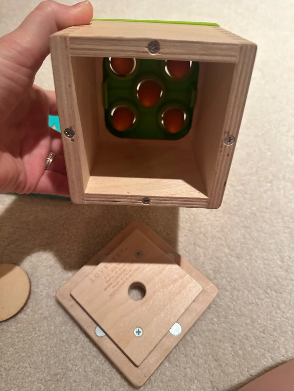 Lovevery wooden Montessori sorting toy
